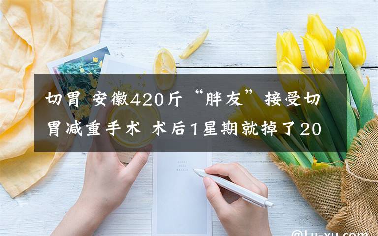 切胃 安徽420斤“胖友”接受切胃減重手術(shù) 術(shù)后1星期就掉了20多斤肉