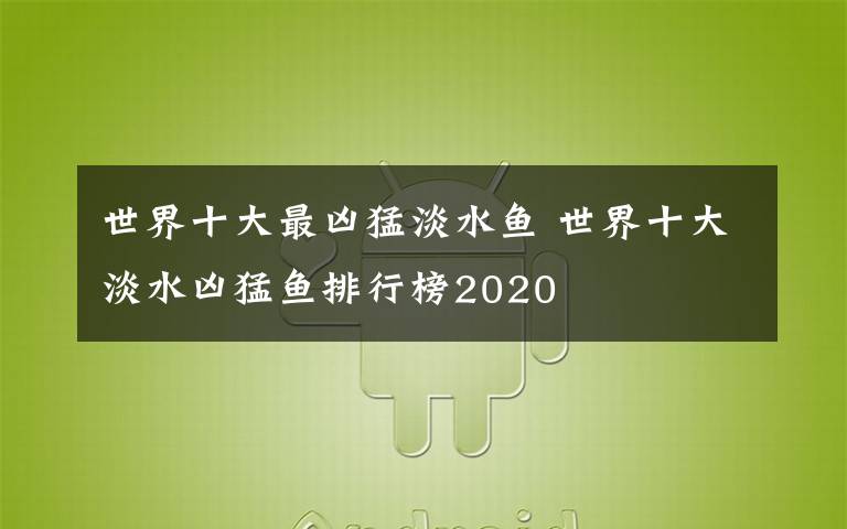 世界十大最兇猛淡水魚 世界十大淡水兇猛魚排行榜2020