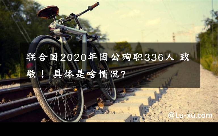 聯(lián)合國2020年因公殉職336人 致敬！ 具體是啥情況?