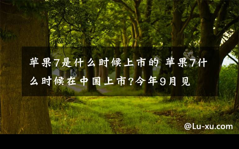 蘋果7是什么時(shí)候上市的 蘋果7什么時(shí)候在中國上市?今年9月見