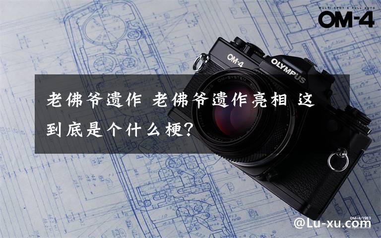 老佛爺遺作 老佛爺遺作亮相 這到底是個什么梗？