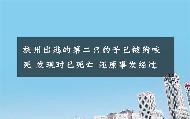 杭州出逃的第二只豹子已被狗咬死 發(fā)現(xiàn)時已死亡 還原事發(fā)經(jīng)過及背后原因！