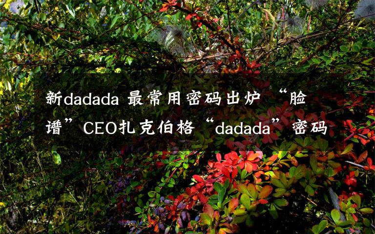 新dadada 最常用密碼出爐 “臉譜”CEO扎克伯格“dadada”密碼曝光