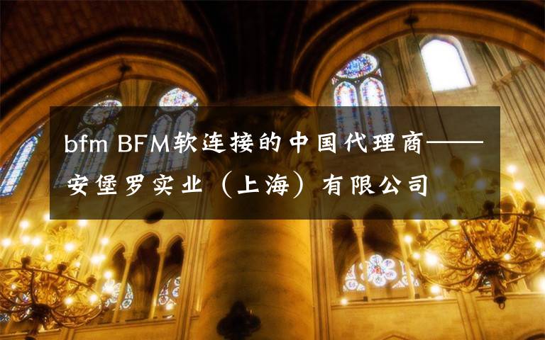 bfm BFM軟連接的中國代理商——安堡羅實業(yè)（上海）有限公司