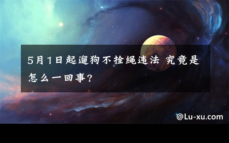 5月1日起遛狗不拴繩違法 究竟是怎么一回事?