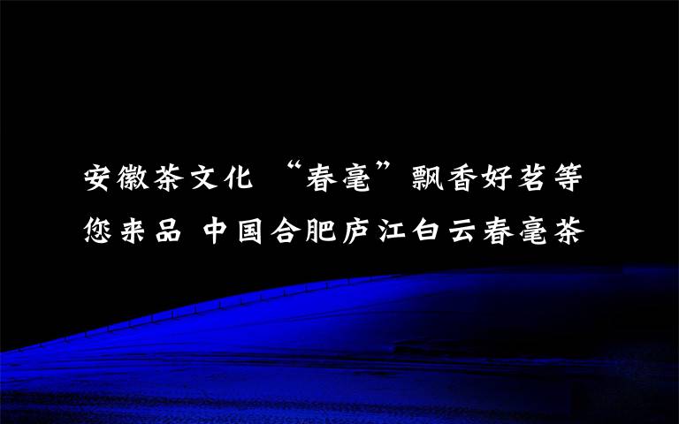 安徽茶文化 “春毫”飄香好茗等您來品 中國合肥廬江白云春毫茶文化旅游節(jié)16日啟幕