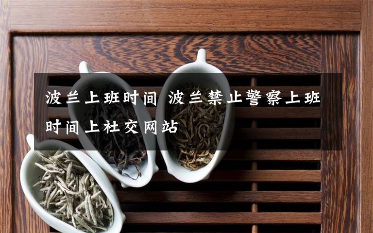 波蘭上班時間 波蘭禁止警察上班時間上社交網(wǎng)站