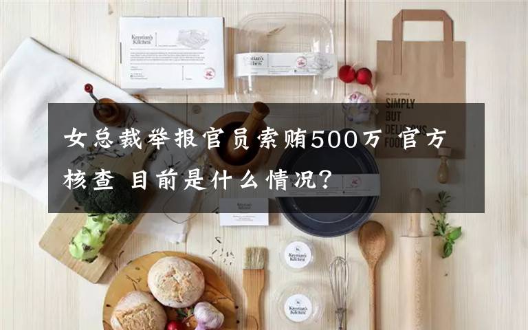 女總裁舉報官員索賄500萬 官方核查 目前是什么情況？