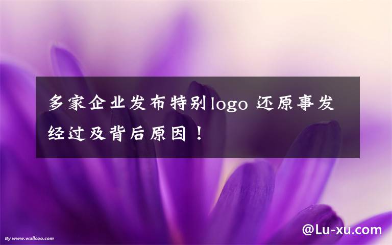 多家企業(yè)發(fā)布特別logo 還原事發(fā)經(jīng)過及背后原因！