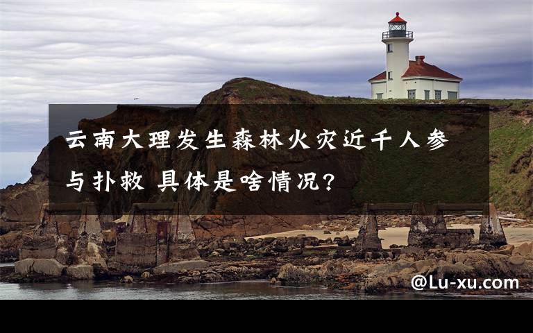 云南大理發(fā)生森林火災(zāi)近千人參與撲救 具體是啥情況?