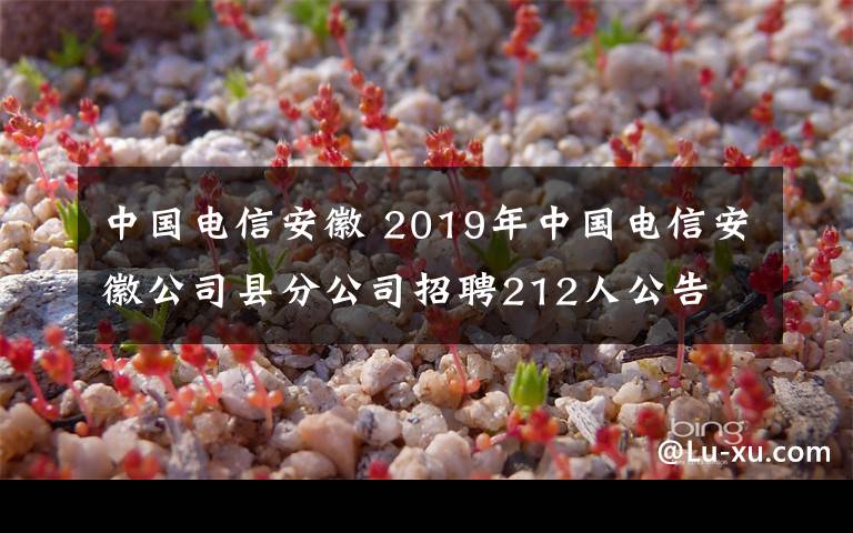 中國電信安徽 2019年中國電信安徽公司縣分公司招聘212人公告 附報(bào)名時(shí)間、條件