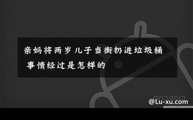 親媽將兩歲兒子當街扔進垃圾桶 事情經過是怎樣的