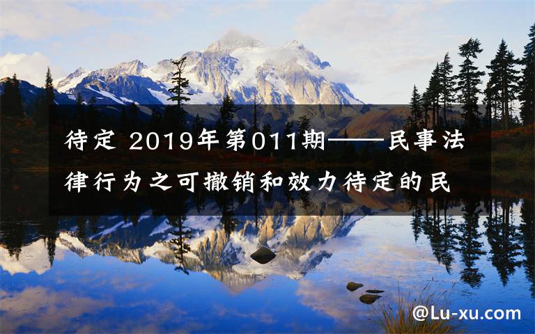 待定 2019年第011期——民事法律行為之可撤銷和效力待定的民事法律行為