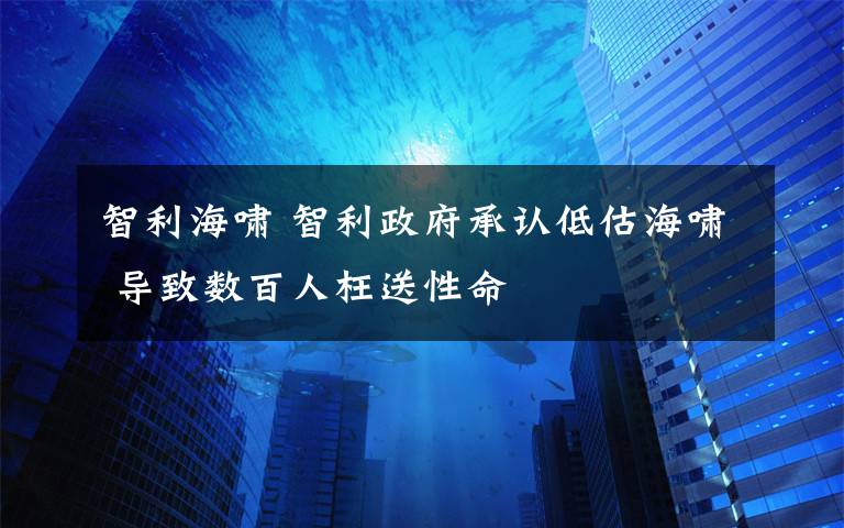 智利海嘯 智利政府承認(rèn)低估海嘯 導(dǎo)致數(shù)百人枉送性命