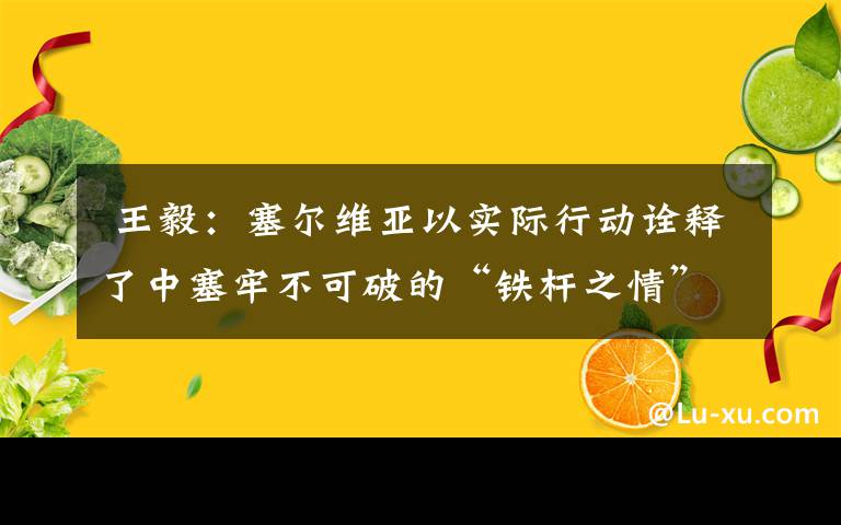  王毅：塞爾維亞以實(shí)際行動(dòng)詮釋了中塞牢不可破的“鐵桿之情”