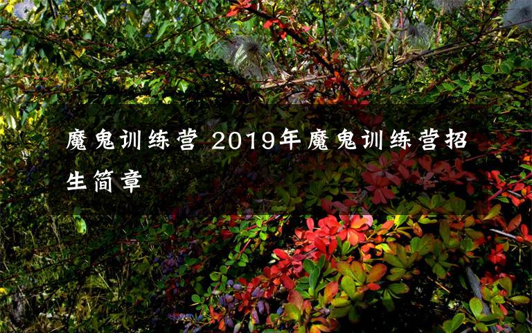 魔鬼訓(xùn)練營(yíng) 2019年魔鬼訓(xùn)練營(yíng)招生簡(jiǎn)章