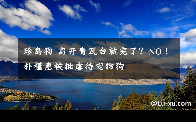 珍島狗 離開青瓦臺就完了？NO！樸槿惠被批虐待寵物狗