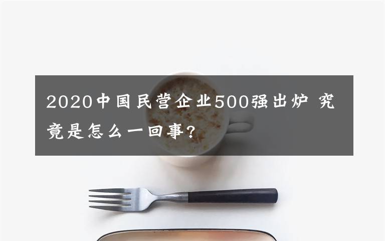 2020中國民營企業(yè)500強(qiáng)出爐 究竟是怎么一回事?