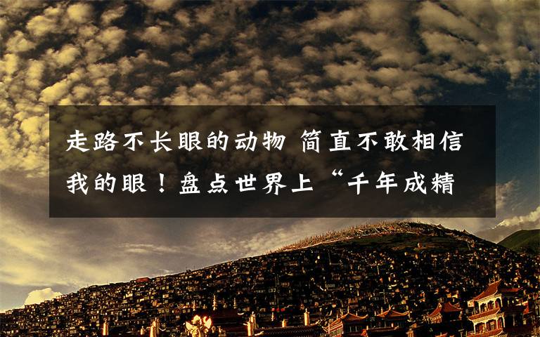 走路不長(zhǎng)眼的動(dòng)物 簡(jiǎn)直不敢相信我的眼！盤點(diǎn)世界上“千年成精”的動(dòng)物