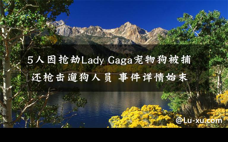 5人因搶劫Lady Gaga寵物狗被捕 還槍擊遛狗人員 事件詳情始末介紹！