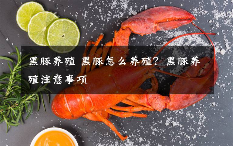 黑豚養(yǎng)殖 黑豚怎么養(yǎng)殖？黑豚養(yǎng)殖注意事項