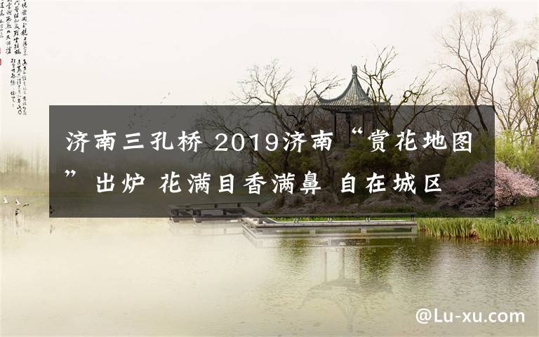 濟(jì)南三孔橋 2019濟(jì)南“賞花地圖”出爐 花滿目香滿鼻 自在城區(qū)游