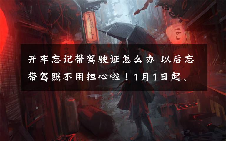 開車忘記帶駕駛證怎么辦 以后忘帶駕照不用擔(dān)心啦！1月1日起，南京正式啟用電子駕駛證