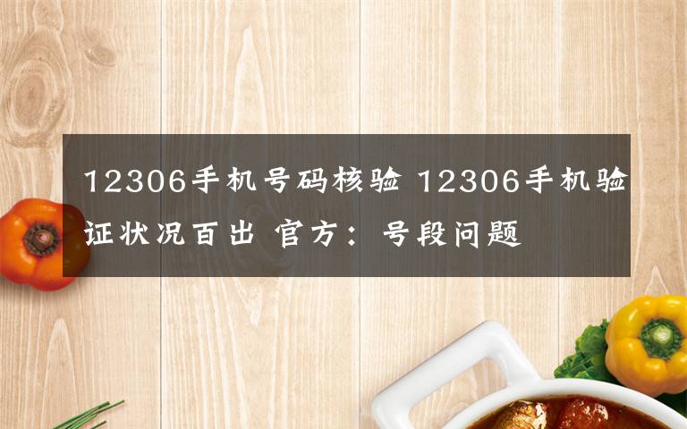 12306手機(jī)號碼核驗(yàn) 12306手機(jī)驗(yàn)證狀況百出 官方：號段問題