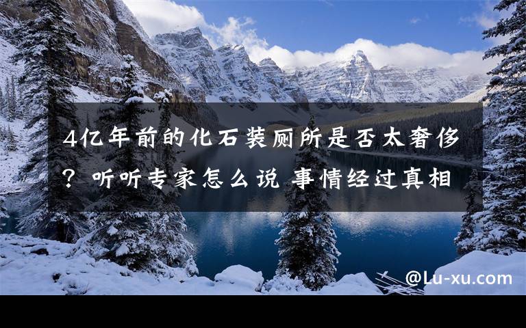 4億年前的化石裝廁所是否太奢侈？聽聽專家怎么說 事情經(jīng)過真相揭秘！