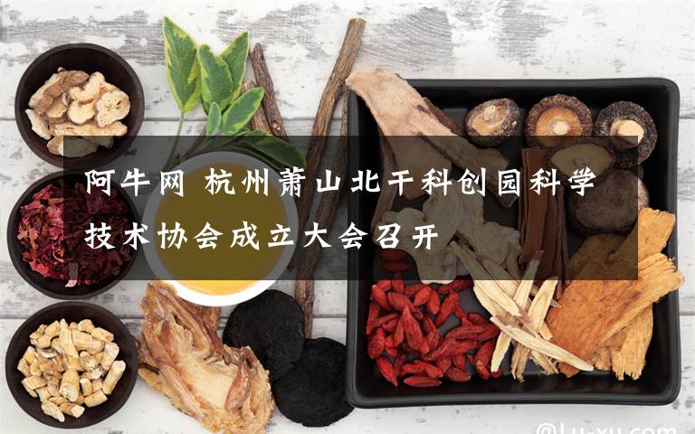 阿牛網(wǎng) 杭州蕭山北干科創(chuàng)園科學(xué)技術(shù)協(xié)會(huì)成立大會(huì)召開