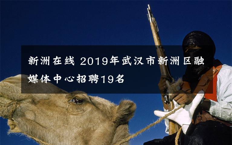 新洲在線 2019年武漢市新洲區(qū)融媒體中心招聘19名