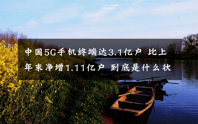 中國(guó)5G手機(jī)終端達(dá)3.1億戶 比上年末凈增1.11億戶 到底是什么狀況？