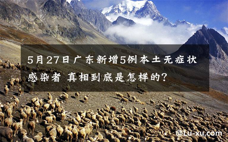 5月27日廣東新增5例本土無癥狀感染者 真相到底是怎樣的？