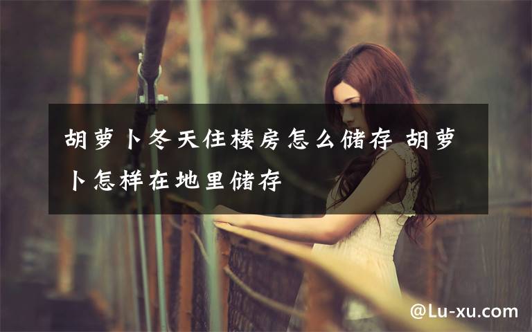 胡蘿卜冬天住樓房怎么儲(chǔ)存 胡蘿卜怎樣在地里儲(chǔ)存