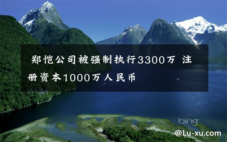  鄭愷公司被強(qiáng)制執(zhí)行3300萬 注冊資本1000萬人民幣