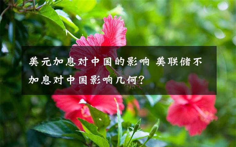 美元加息對(duì)中國的影響 美聯(lián)儲(chǔ)不加息對(duì)中國影響幾何？