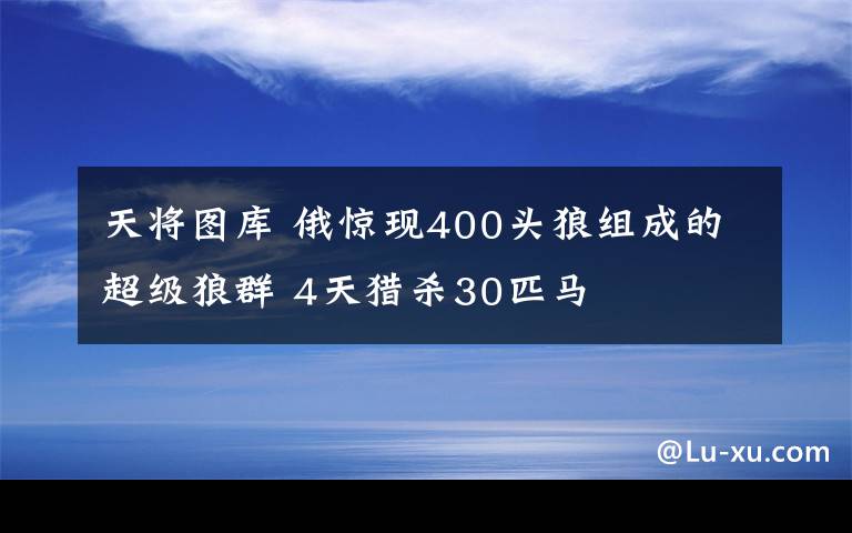 天將圖庫(kù) 俄驚現(xiàn)400頭狼組成的超級(jí)狼群 4天獵殺30匹馬