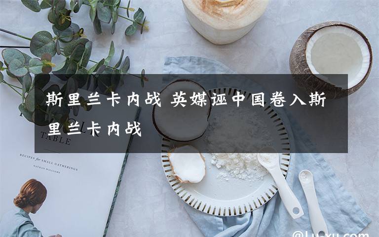 斯里蘭卡內(nèi)戰(zhàn) 英媒誣中國卷入斯里蘭卡內(nèi)戰(zhàn)