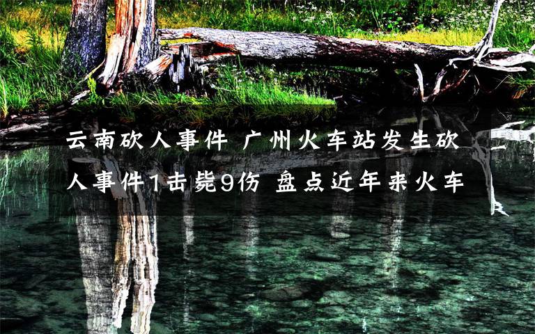 云南砍人事件 廣州火車站發(fā)生砍人事件1擊斃9傷 盤點(diǎn)近年來火車站砍人事件