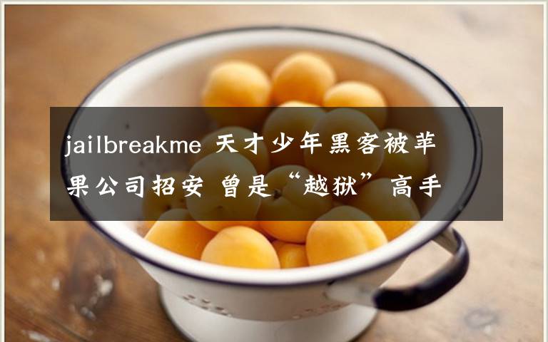 jailbreakme 天才少年黑客被蘋果公司招安 曾是“越獄”高手