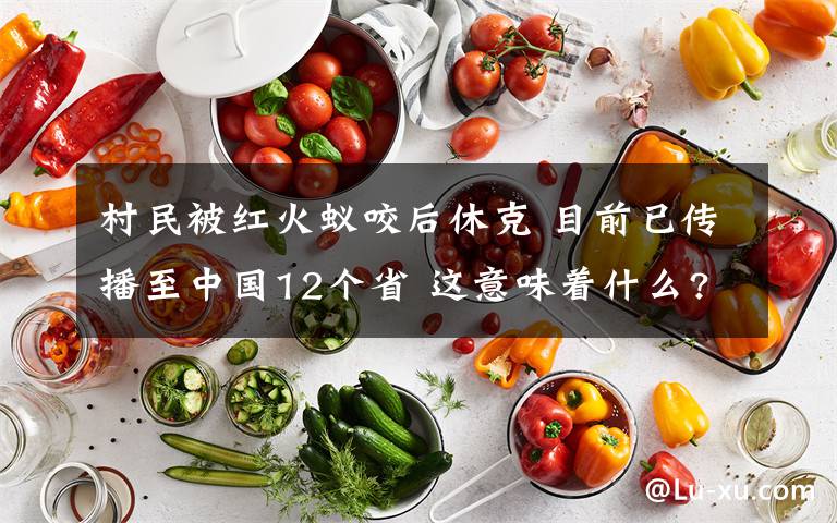 村民被紅火蟻咬后休克 目前已傳播至中國12個(gè)省 這意味著什么?