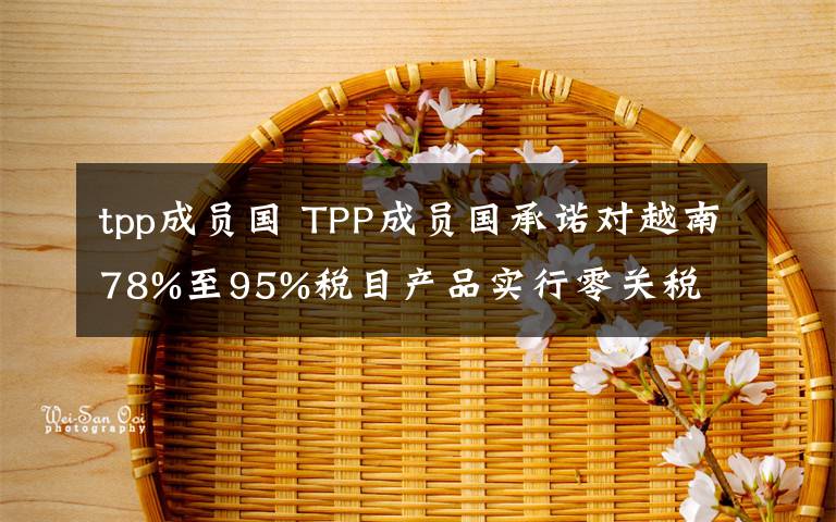 tpp成員國 TPP成員國承諾對(duì)越南78%至95%稅目產(chǎn)品實(shí)行零關(guān)稅