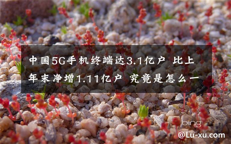 中國5G手機(jī)終端達(dá)3.1億戶 比上年末凈增1.11億戶 究竟是怎么一回事?