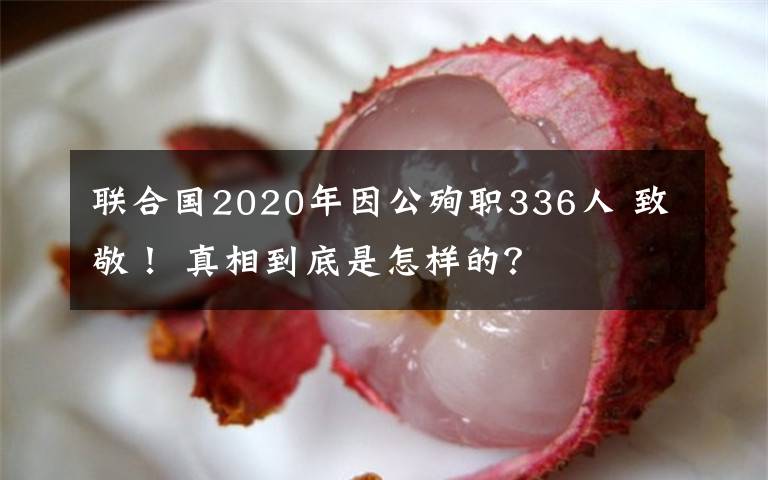 聯(lián)合國(guó)2020年因公殉職336人 致敬！ 真相到底是怎樣的？