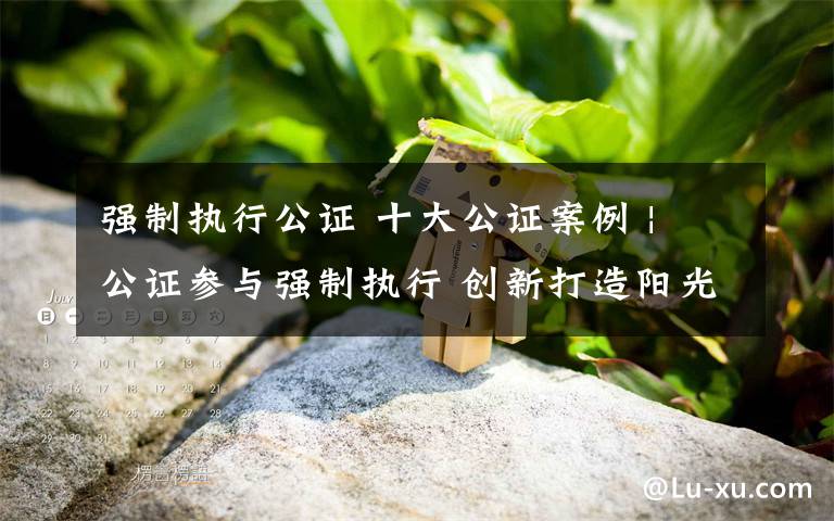 強制執(zhí)行公證 十大公證案例 | 公證參與強制執(zhí)行 創(chuàng)新打造陽光司法