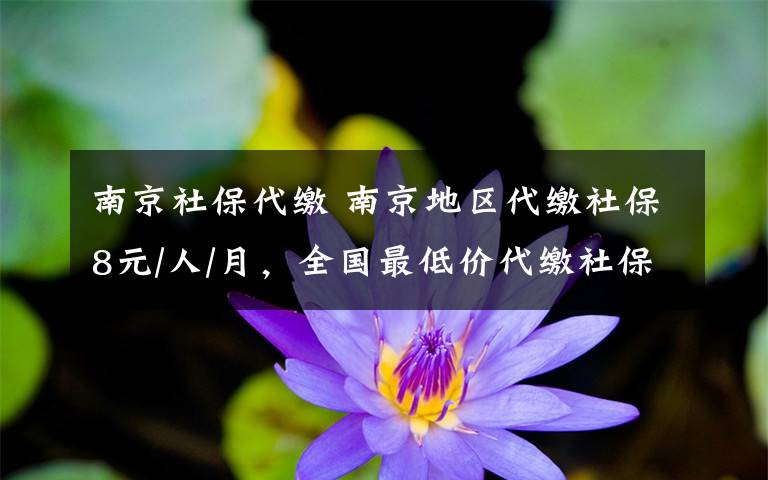 南京社保代繳 南京地區(qū)代繳社保8元/人/月，全國(guó)最低價(jià)代繳社保費(fèi)，2萬(wàn)用戶(hù)的定點(diǎn)服務(wù)商