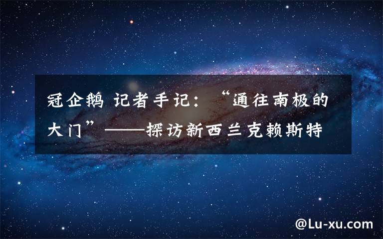 冠企鵝 記者手記：“通往南極的大門”——探訪新西蘭克賴斯特徹奇