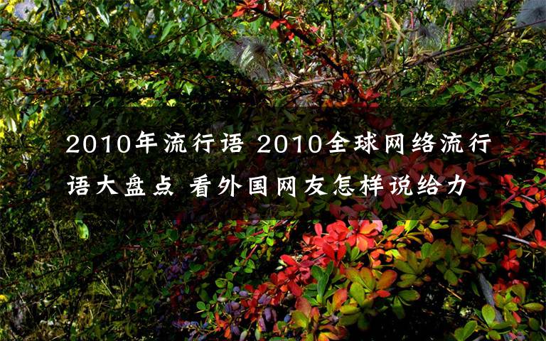 2010年流行語 2010全球網(wǎng)絡(luò)流行語大盤點(diǎn) 看外國網(wǎng)友怎樣說給力