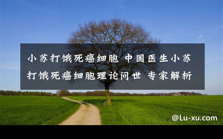 小蘇打餓死癌細胞 中國醫(yī)生小蘇打餓死癌細胞理論問世 專家解析用藥原理