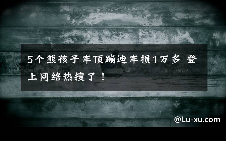 5個熊孩子車頂蹦迪車損1萬多 登上網絡熱搜了！